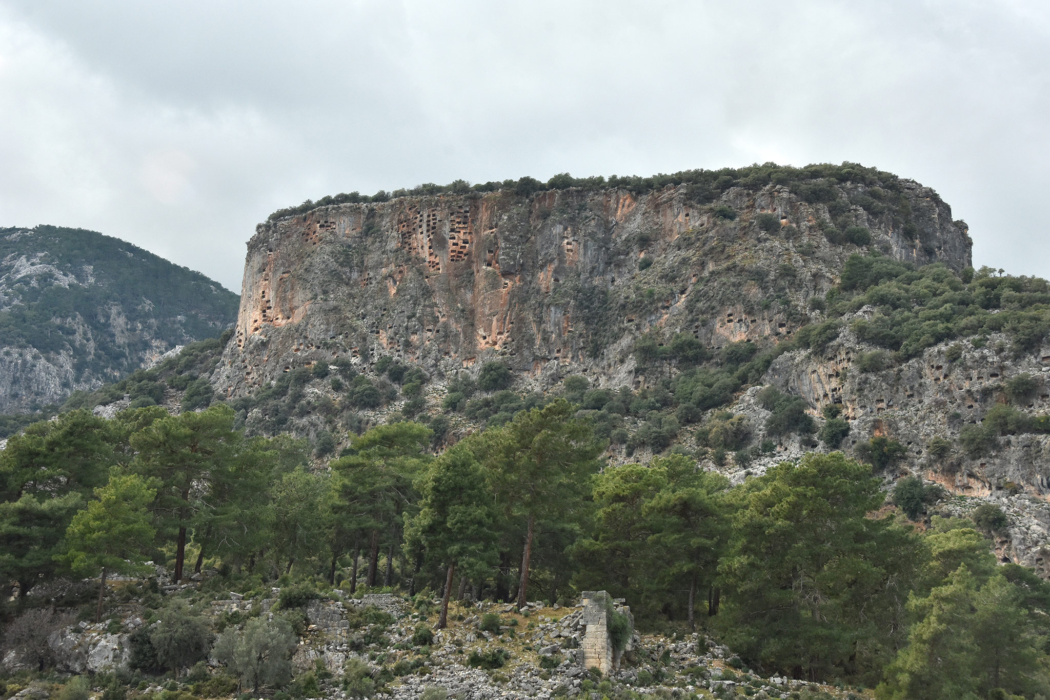 Pinara Antique City, Arifler